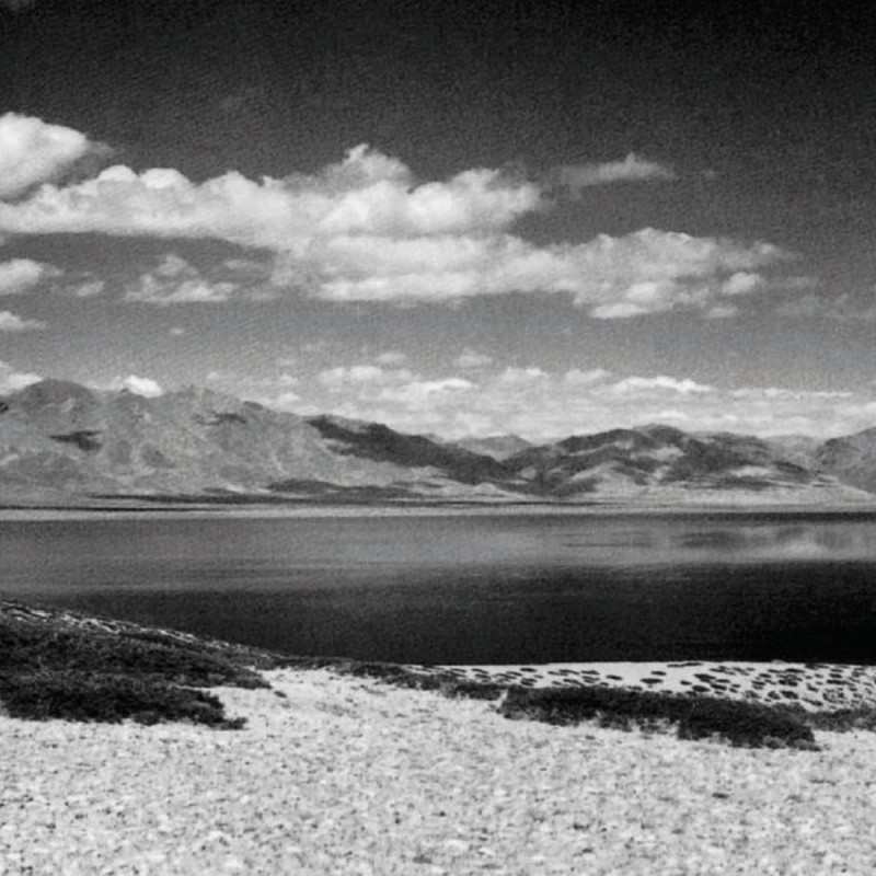 0124/CX38 Bottiglia Adriani e Rossi белый 