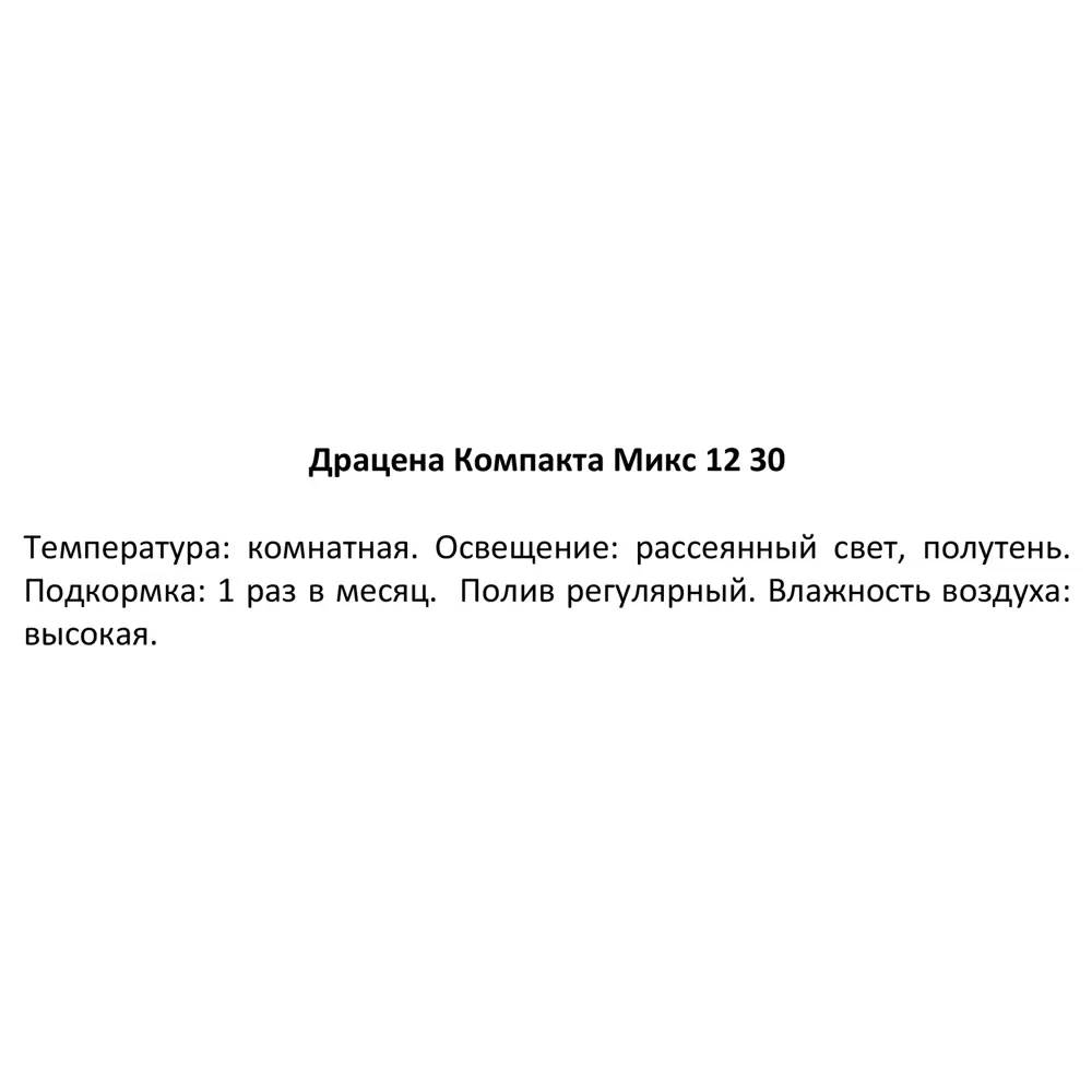 Драцена Компакта Santreyd — изящное тропическое растение для интерьера 83985959 STLM-0045806 - Вид №2