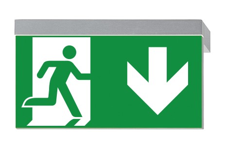 DST-1908 Ikus 2211-p Daisalux Светильники сигнальные Серебристо-Серый 