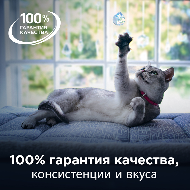 ПР0051316 Корм для кошек HILL"S Prescription Diet Gastrointestinal Biome при расстройствах пищеварения, c курицей, сух. 1,5кг Hill's  - Вид №11