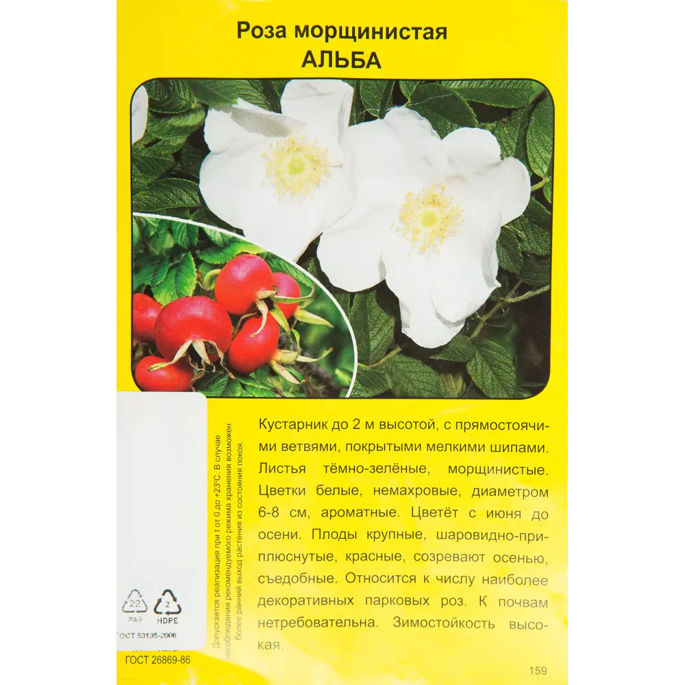 Роза морщинистая Альба h40 см 83786653 STLM-2176770 Santreyd  - Вид №1