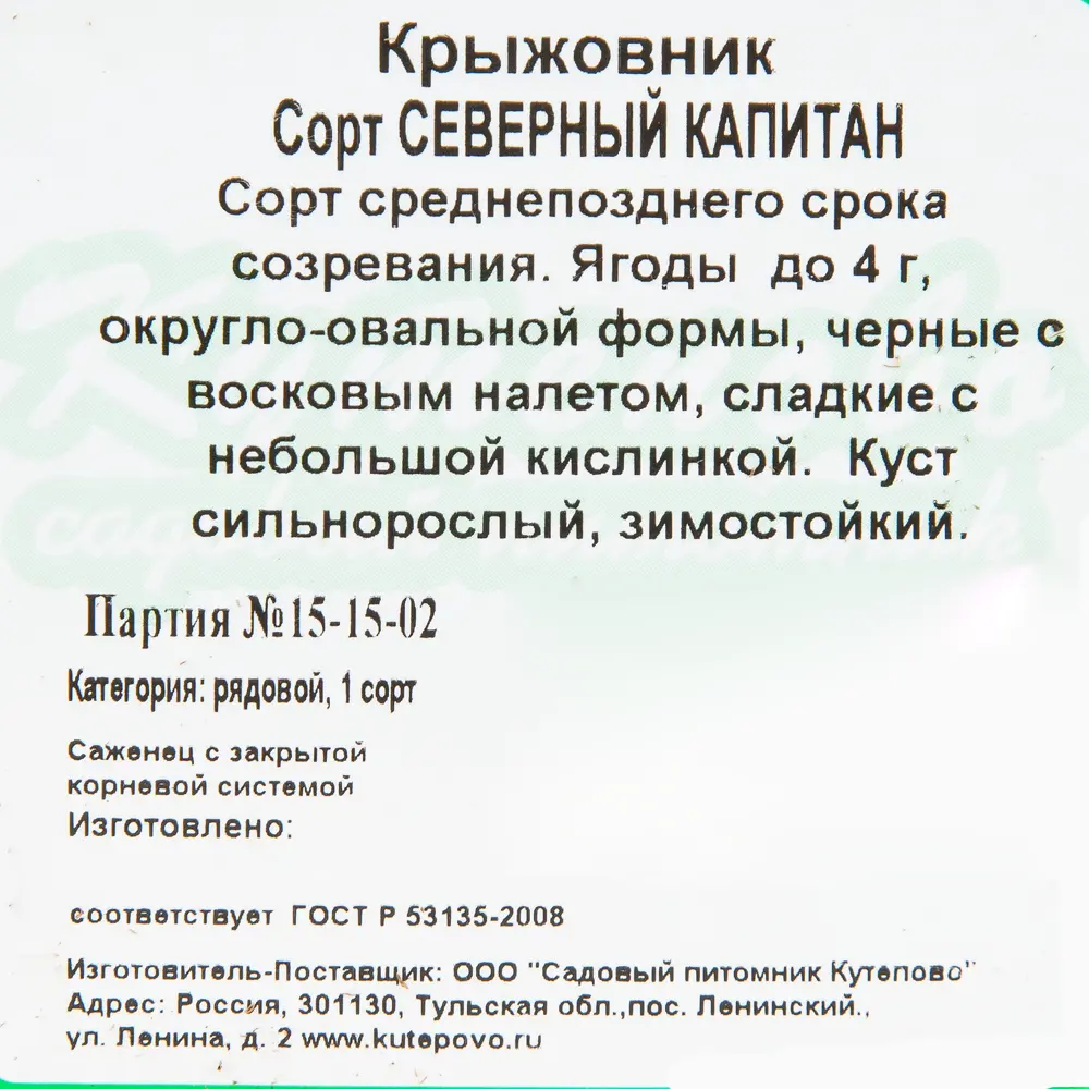 Крыжовник С2 Северный капитан h40 (2 года) 81954925 STLM-2093247 Santreyd  - Вид №2