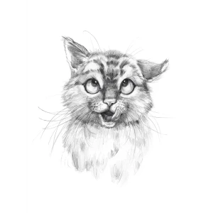 Постер МЯУчты 30x40 см