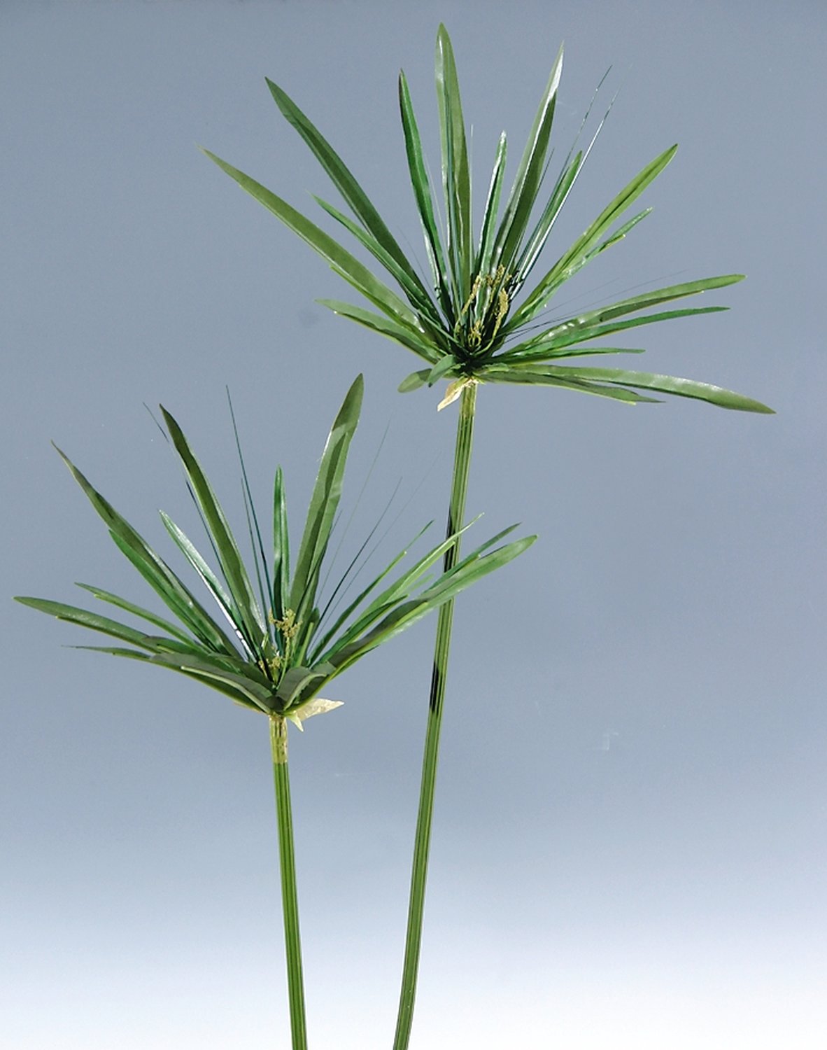 4813 883 a2 Искусственный орех, 150 см, зеленый H-andreas  - Вид №3