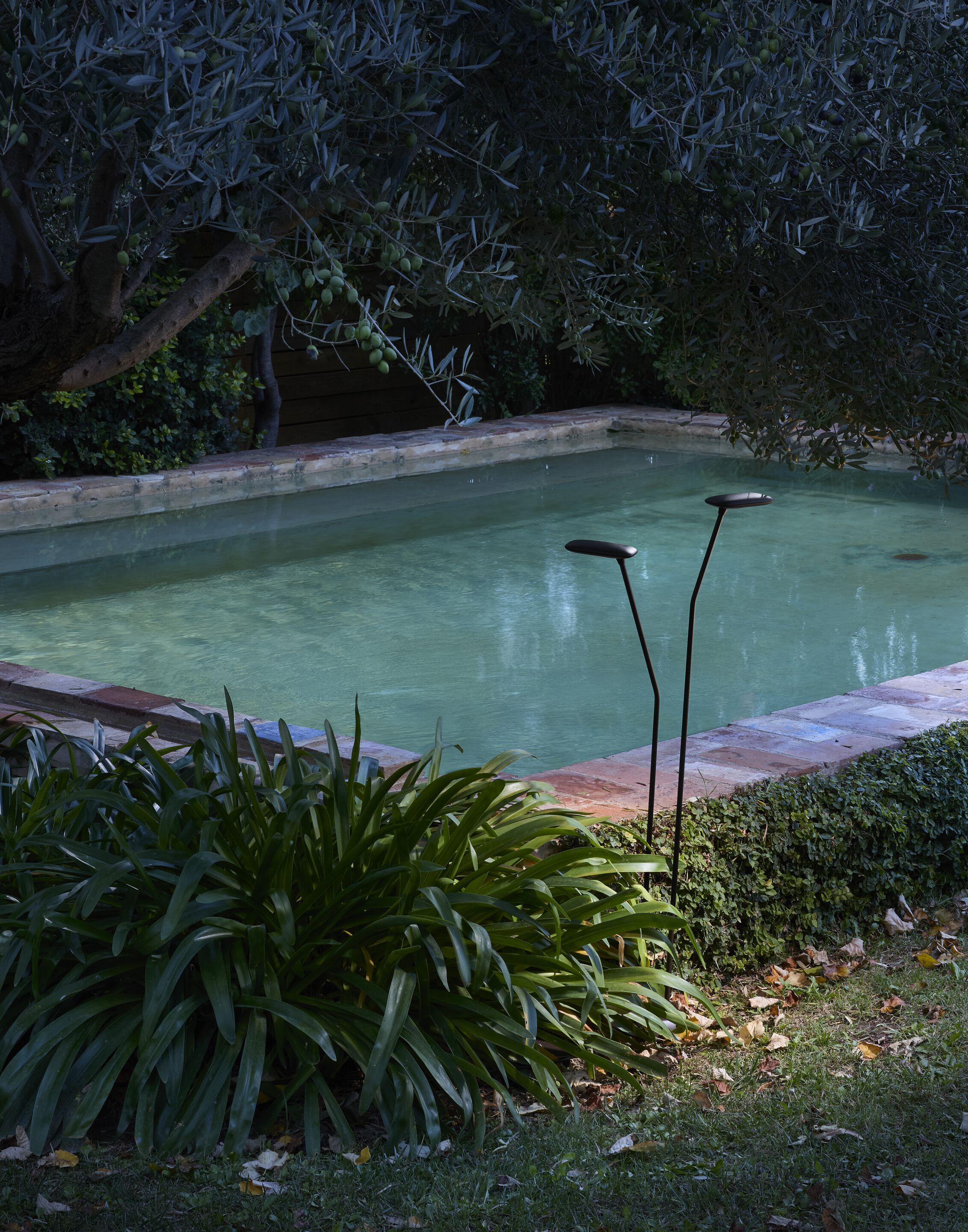 Светодиодный световой столб Bover птичка ARCH-00017067 - Вид №1