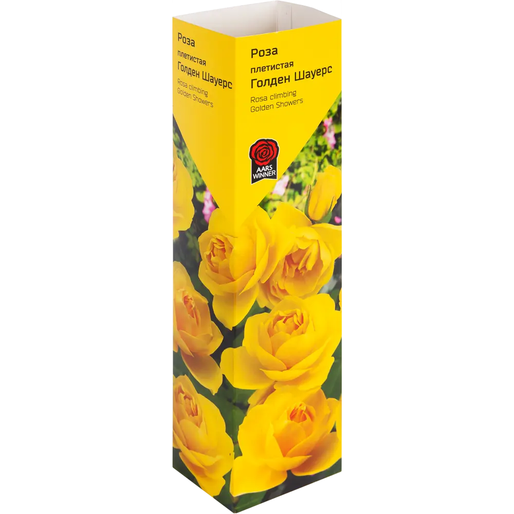 Роза «Плетистая» эконом спрей в ассортименте 82009452 STLM-2200422 Santreyd 