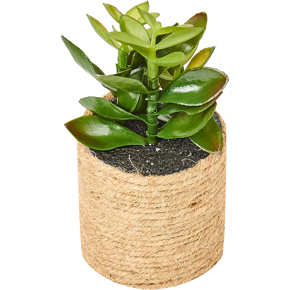 82733287 Горшок с искусственным растением с веревкой ø12 см высота 16 см STLM-0831746 Santreyd 