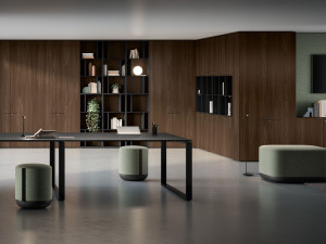 Дубовый офисный шкаф