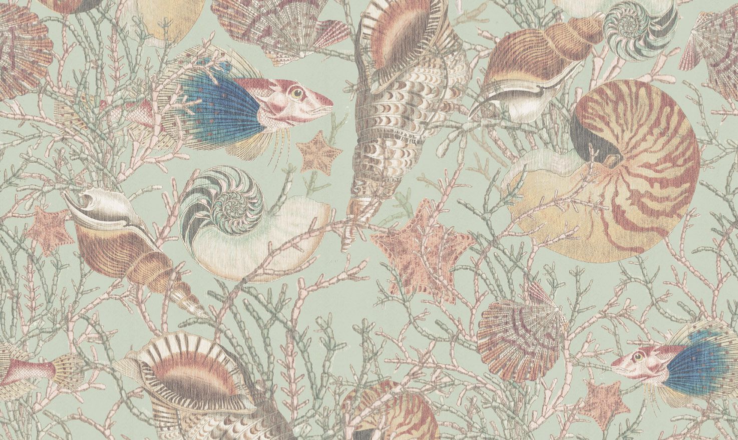 Обои с рисунком Jannelli&Volpi CONCHIGLIE ARCH-00130795 - Вид №2