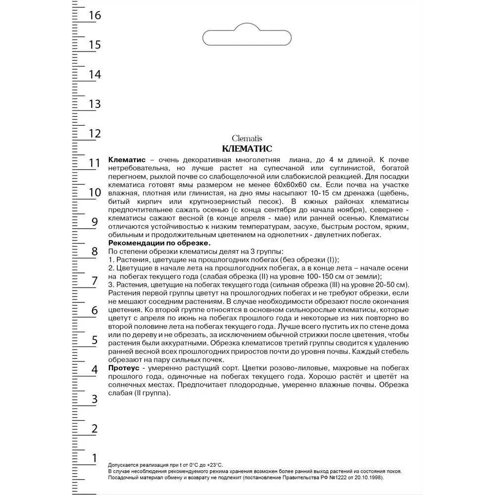 Клематис крупноцветковый Протеус в капере 82527563 STLM-2162975 Santreyd  - Вид №1