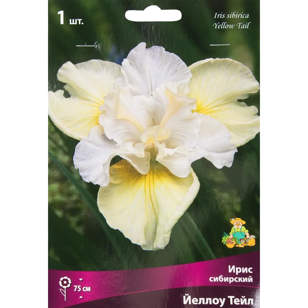 Ирис сибирский «Йеллоу Тейл», размер луковицы I Santreyd STLM-2090523