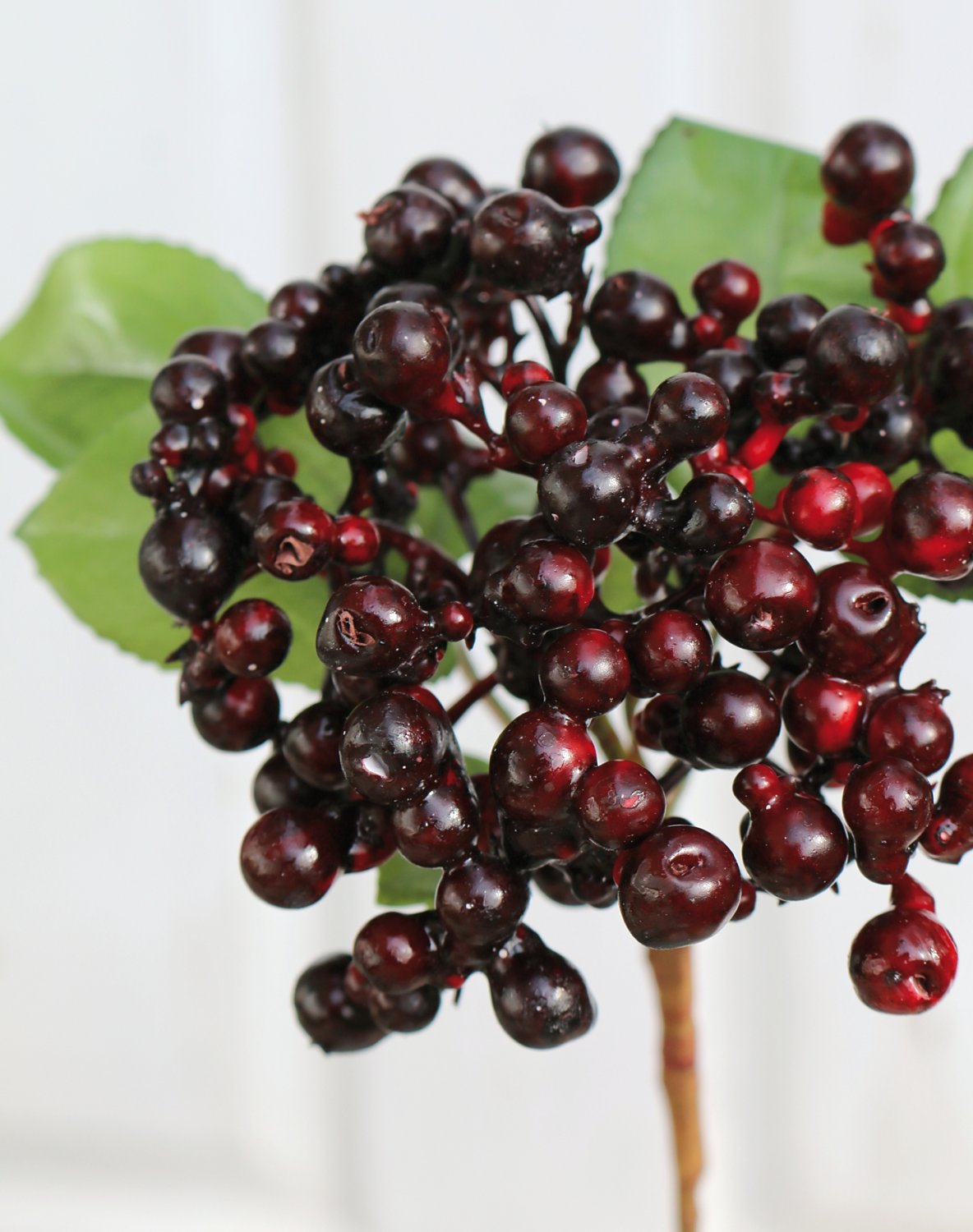 1551 492 a3 Искусственные ягоды на палочке, 30 см, бордово-черные H-andreas  - Вид №1