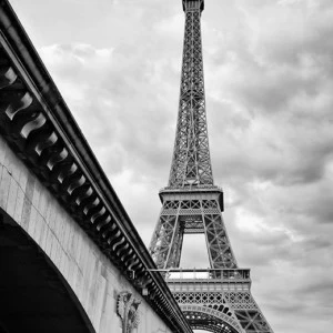 A1-077 Фотообои DIVINO Collection A 2.7х2 м