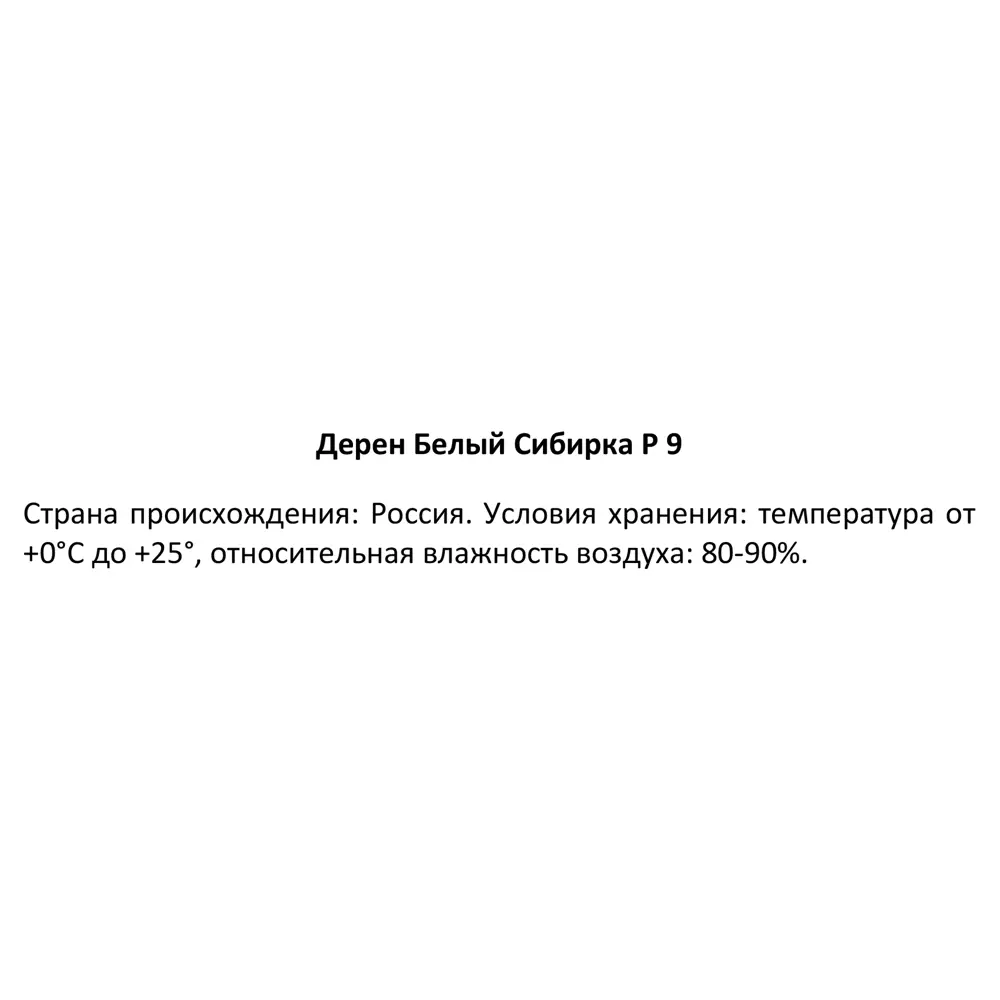 Santreyd Дерен белый Сибирика - декоративный кустарник для живых изгородей 89364986 STLM-0964552 - Вид №3