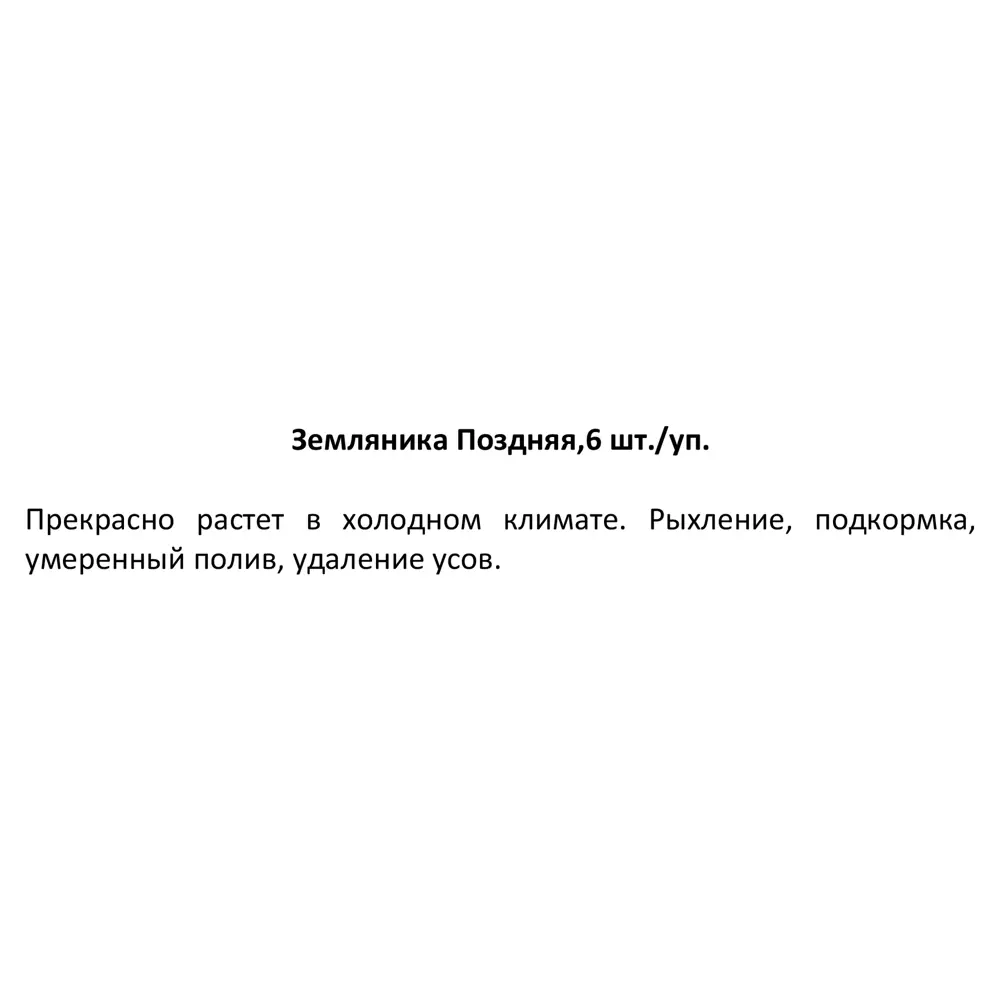 Земляника поздняя h20 см, 6 шт. 83248464 STLM-2017253 Santreyd  - Вид №2