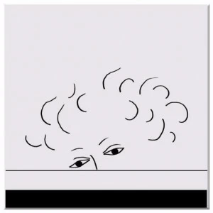 Kiasmo Керамическое покрытие Camera picta 2015kdtcp2