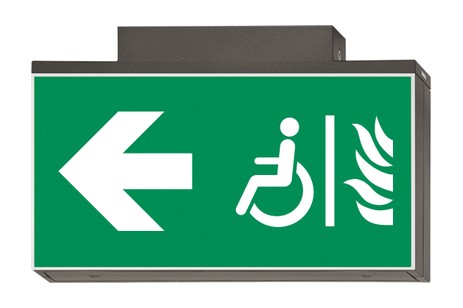 DST-805 Lisu ceiling-mounted Daisalux Светильники аварийные Металлический Серый 