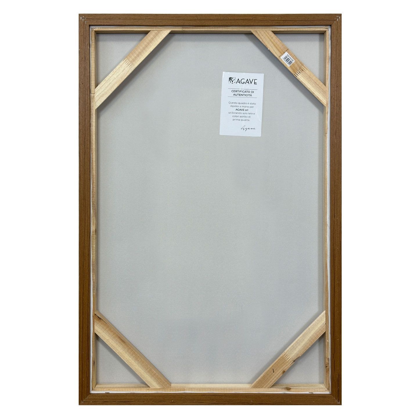 Холст рамки Agave SPATULA ARCH-00109674 - Вид №5