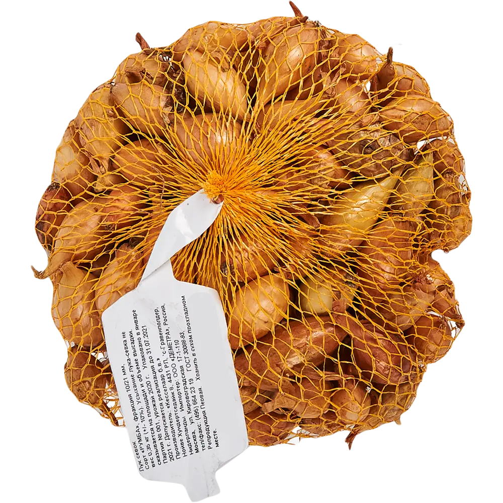 Лук-севок «Румба» 10/21, 0.35 кг Santreyd STLM-2021879