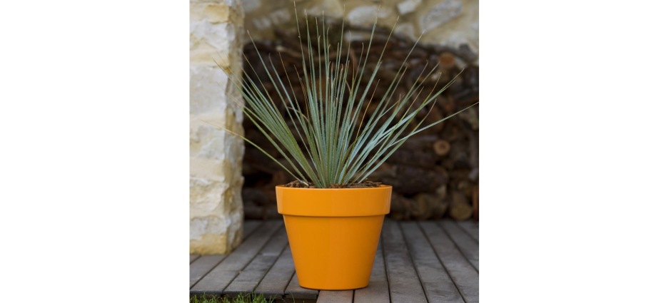 002207 Кашпо Maceta Vondom Pots Studio Vondom  - Вид №3