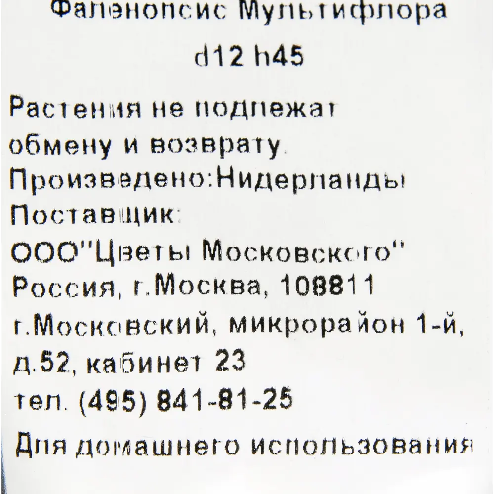 Орхидея Фаленопсис Мультифлора микс ø12 h45 см 82082550 STLM-2116178 Santreyd  - Вид №2