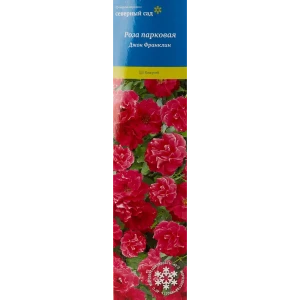 Роза канадская парковая «Джон Франклин» 82150689 STLM-2211396