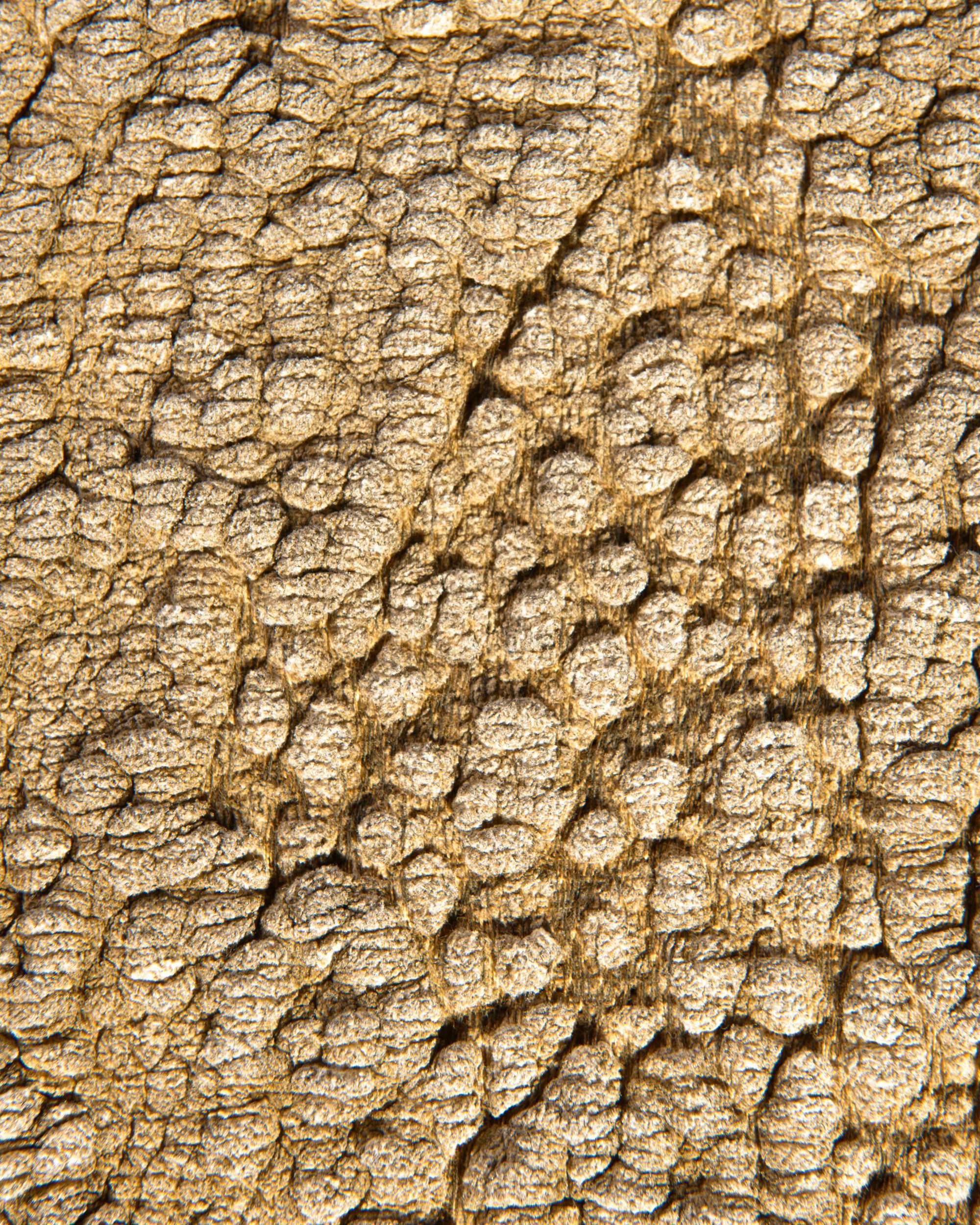 Полиэстер и хлопок ткань The House of Lyria MARUSCA ARCH-00107623 - Вид №2