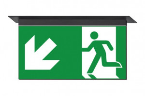 DST-1593 Ikus 320-m Daisalux Светильники сигнальные Черный