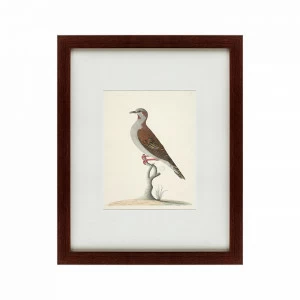 Литография на тонированной бумаге 42х52 см The brown bird КАРТИНЫ В КВАРТИРУ  135728 Белый;коричневый;разноцветный