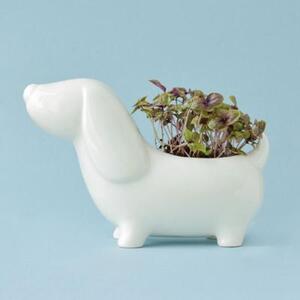 Набор для выращивания Eco Собачка