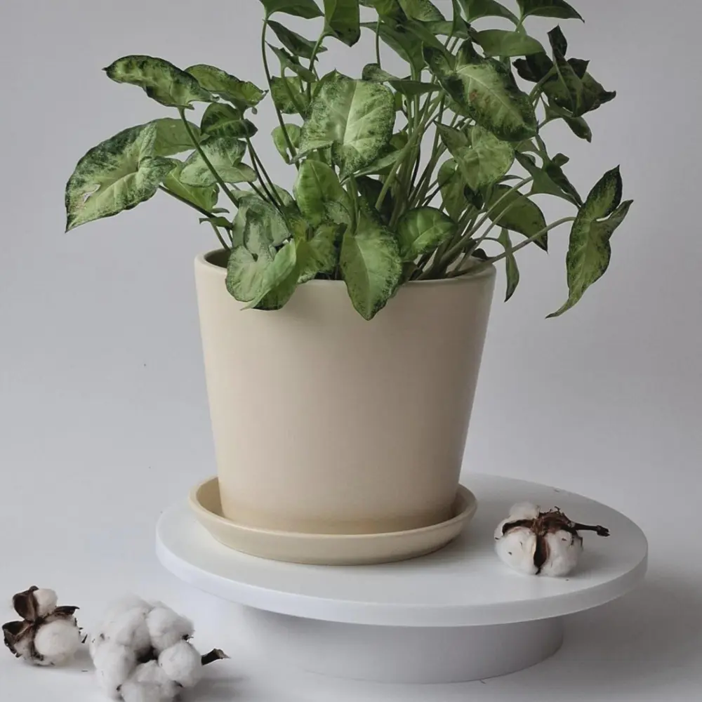 Горшок для цветов Колор Гейм Ø18 h16 см v2.5 л керамика бежевый Santreyd нет STLM-2209330 - Вид №1