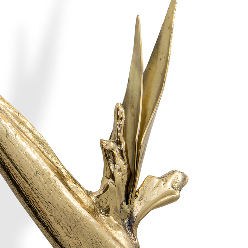 EA1062 PullCast Дверные тяги STRELITZIA Полированная латунь  - Вид №2