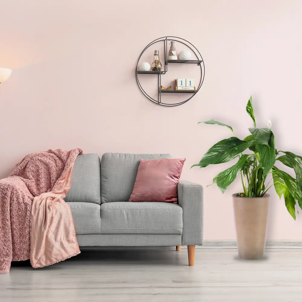 Спатифиллум Бинго Купидо 17x70 см 82399742 STLM-2033998 Santreyd  - Вид №4