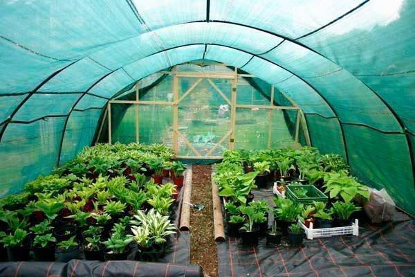 Затеняющая сетка 55 процентов, 3*10м ГеоПластБорд GPBST-178 - Вид №3