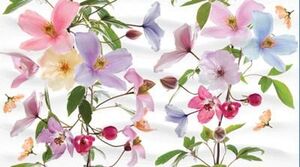 Декор Dec Clematis Panno B 25х45