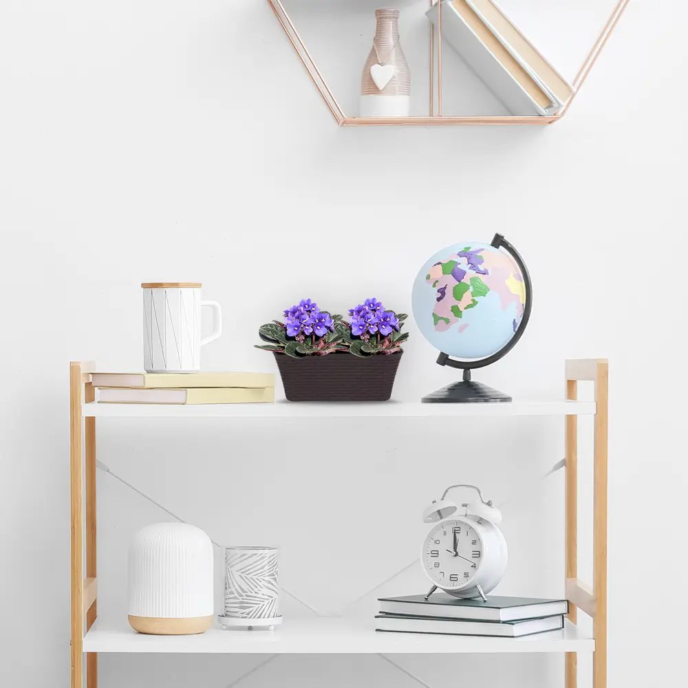 Santreyd Сенполия Инова Спектра - цветущая фиалка для интерьера 15163312 STLM-0005548 - Вид №1