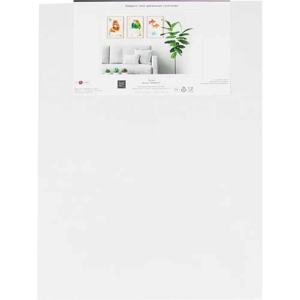 Постер «Попугаи»  бумага 30х40 см Santreyd STLM-2049863 - Вид №1