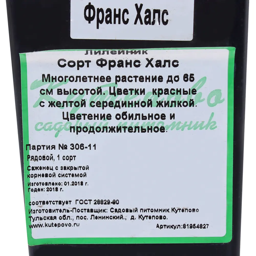 Лилейник «Франц Хайс» 1/16 (FRANS HALS) Santreyd STLM-2036339 - Вид №2