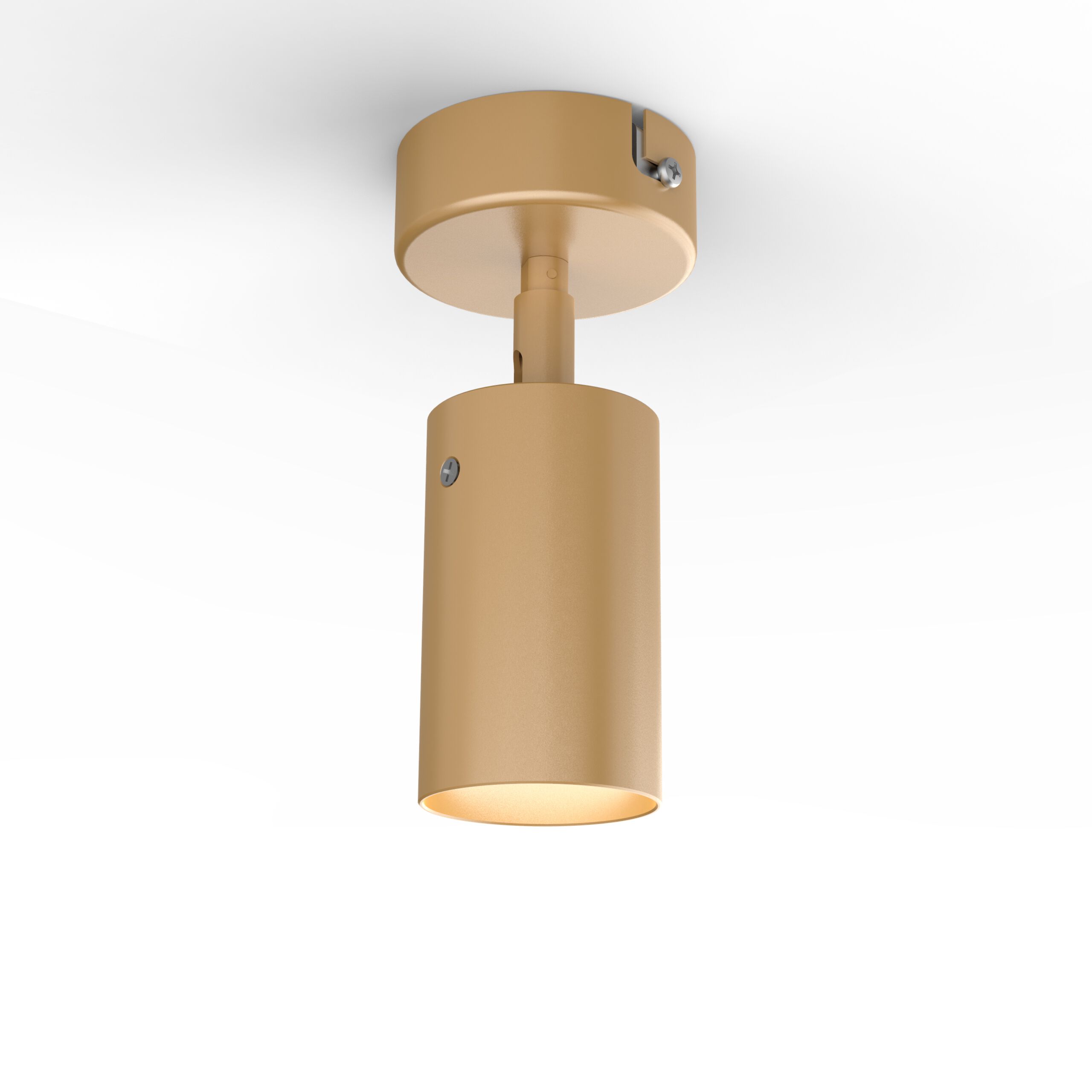 Круглый регулируемый потолочный прожектор WayPoint форма ARCH-00037900 - Вид №21