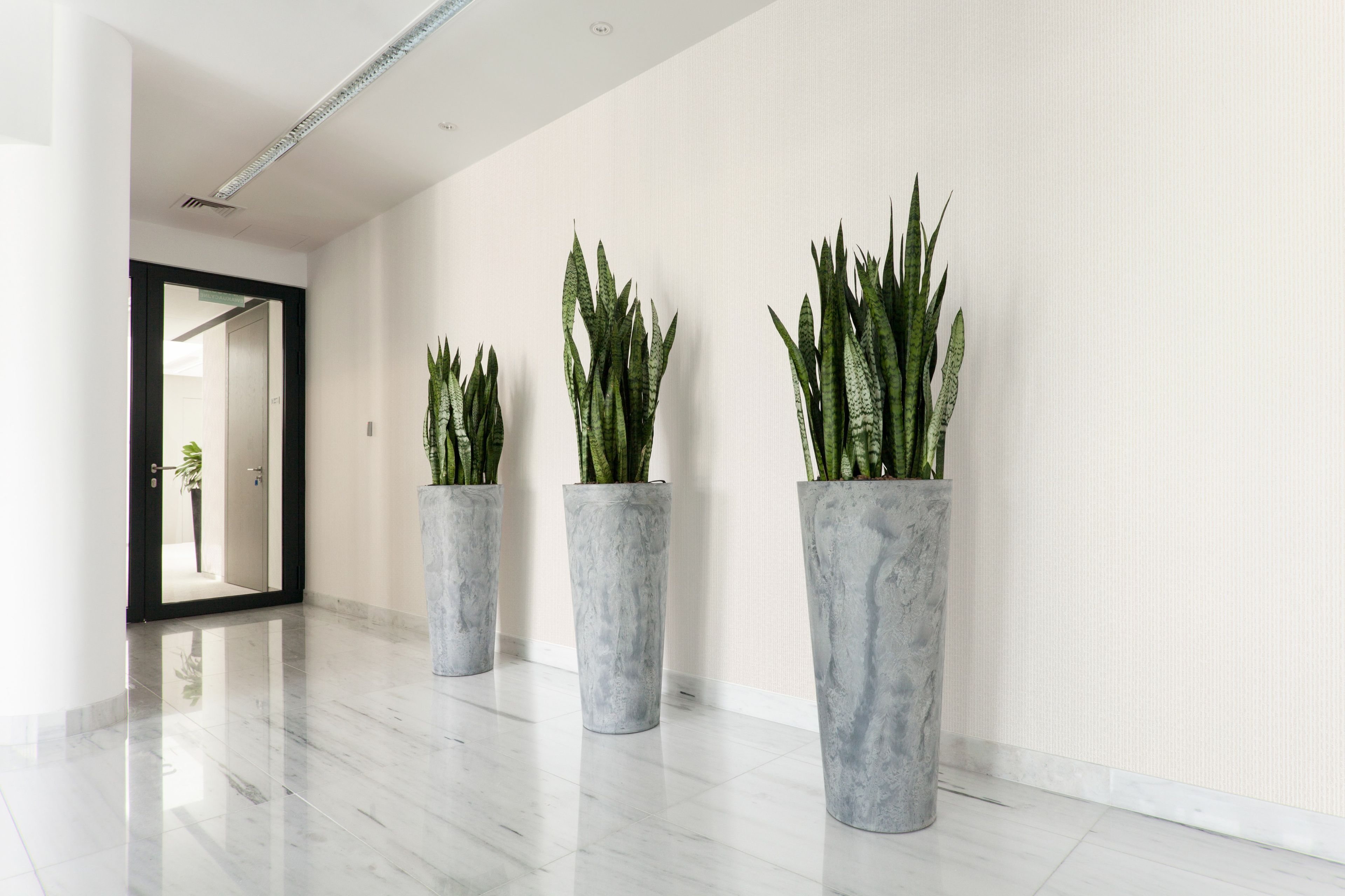 Обои из стекловолокна ADFORS ADFORS Novelio ® Fusion ARCH-00121434 - Вид №2