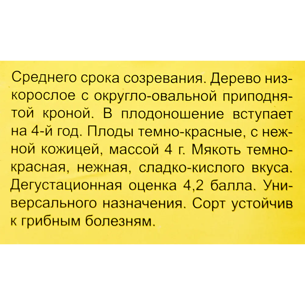 Груша Радонеж пакет h50 см 89353505 STLM-2022945 Santreyd  - Вид №3