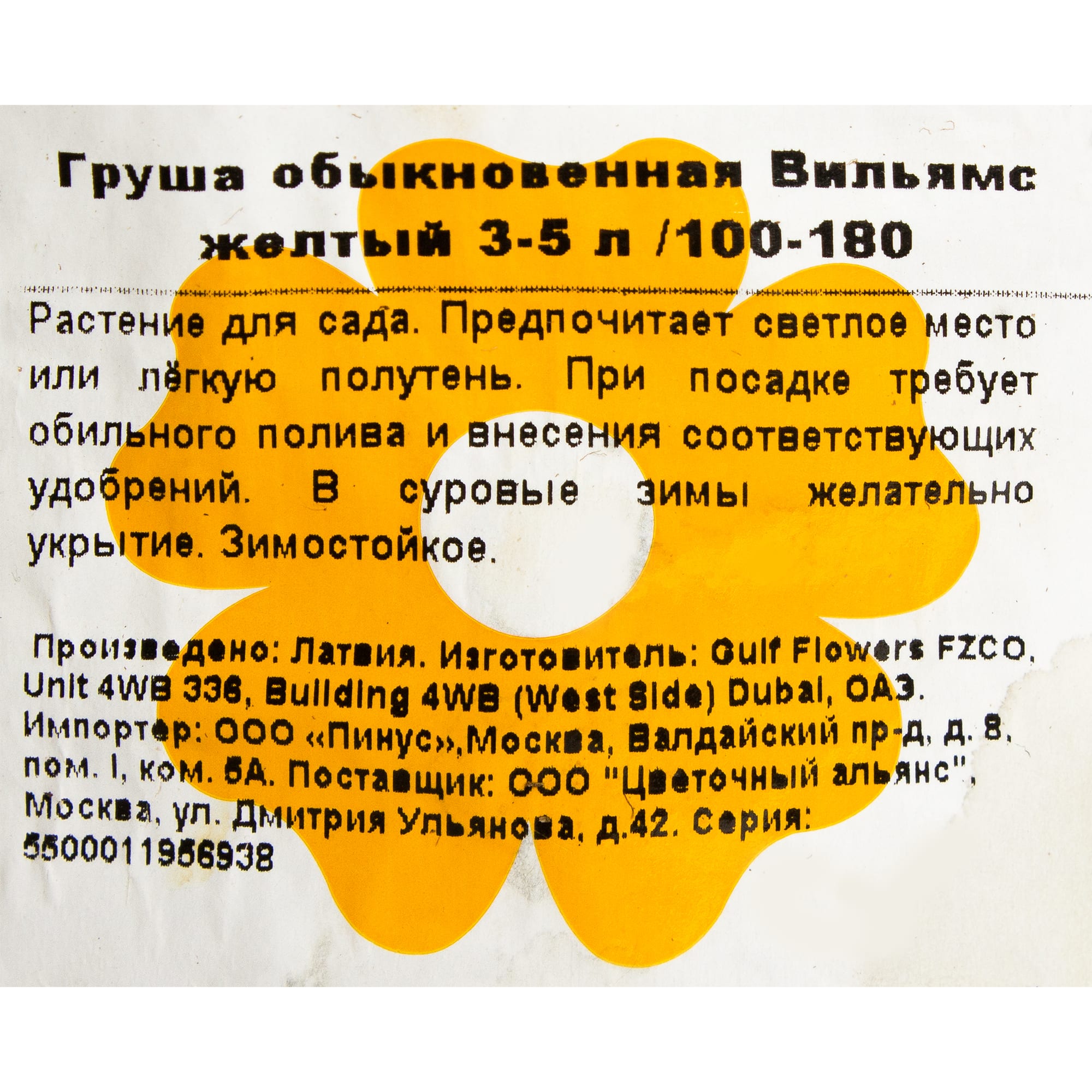 82176292 Груша обык «Вильямс жёлтый» 3-5 л 100-180 см Santreyd  - Вид №1