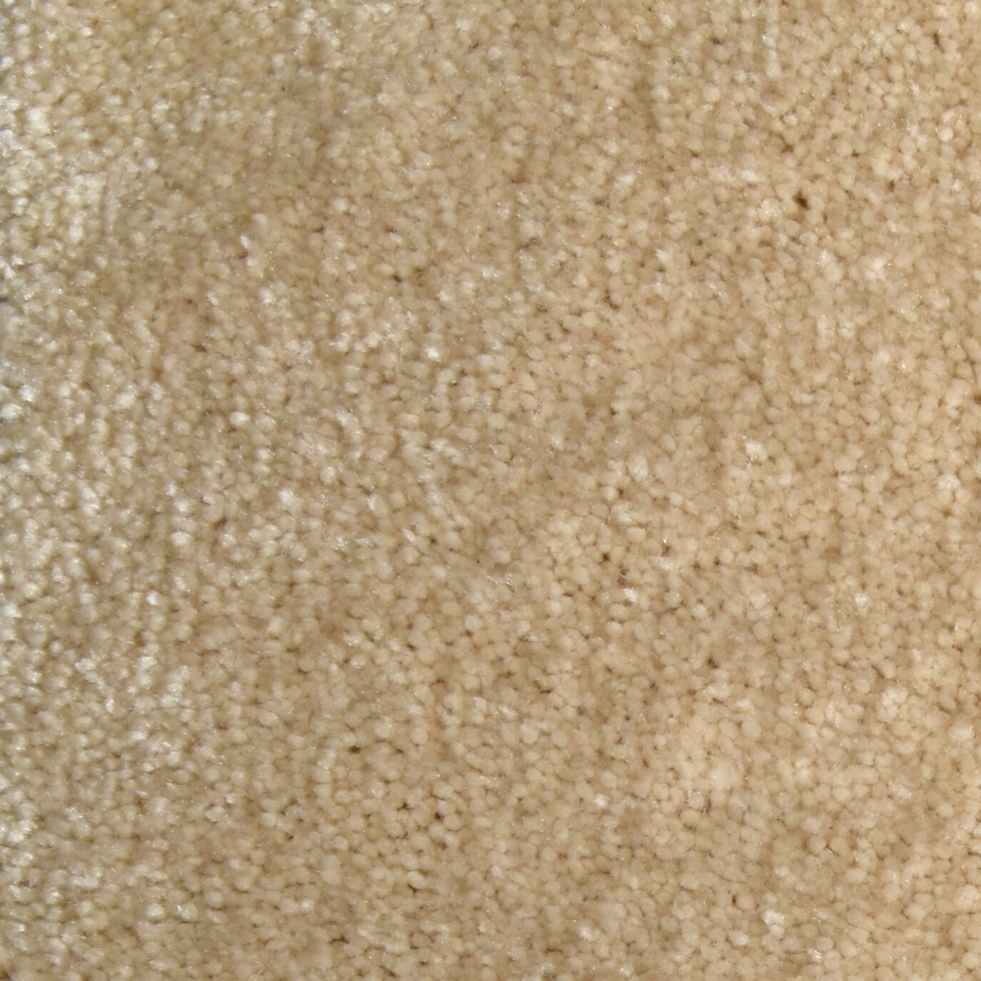 Ковер / Ковер Ademi Резка по запросу - от стены до стены (внутри помещений) ARCH-00117487 - Вид №4