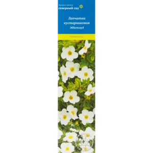 Лапчатка кустарниковая Северный сад Эбботсвуд 82527798 STLM-2110603