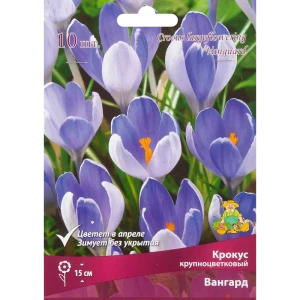 Крокус крупноцветковый микс 8/9, 10 шт 17981061 STLM-2093132