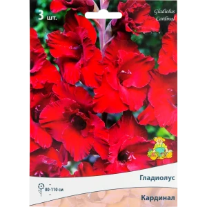 Гладиолусы крупноцветковые «Кардинал», размер луковицы 10/12, 3 шт. 82118682 STLM-2056644