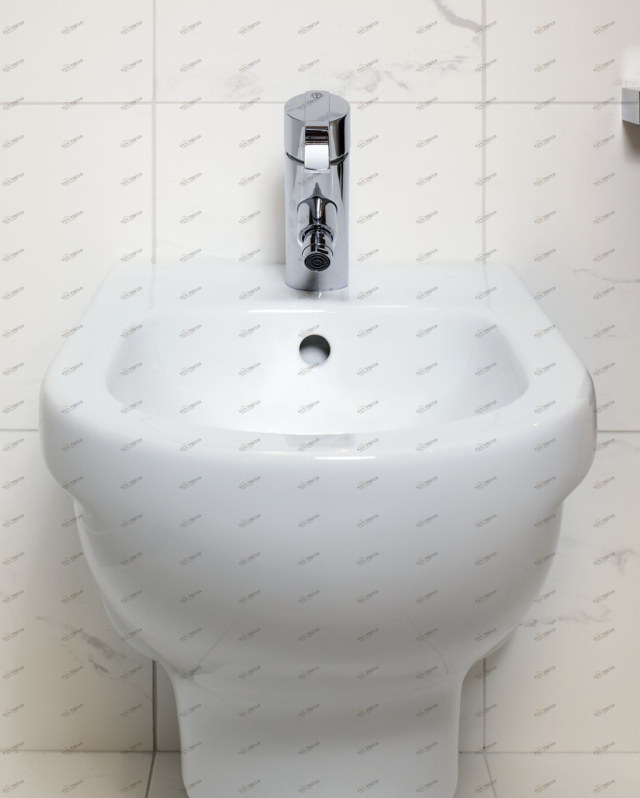 559999R1 Биде напольное  Gustavsberg 