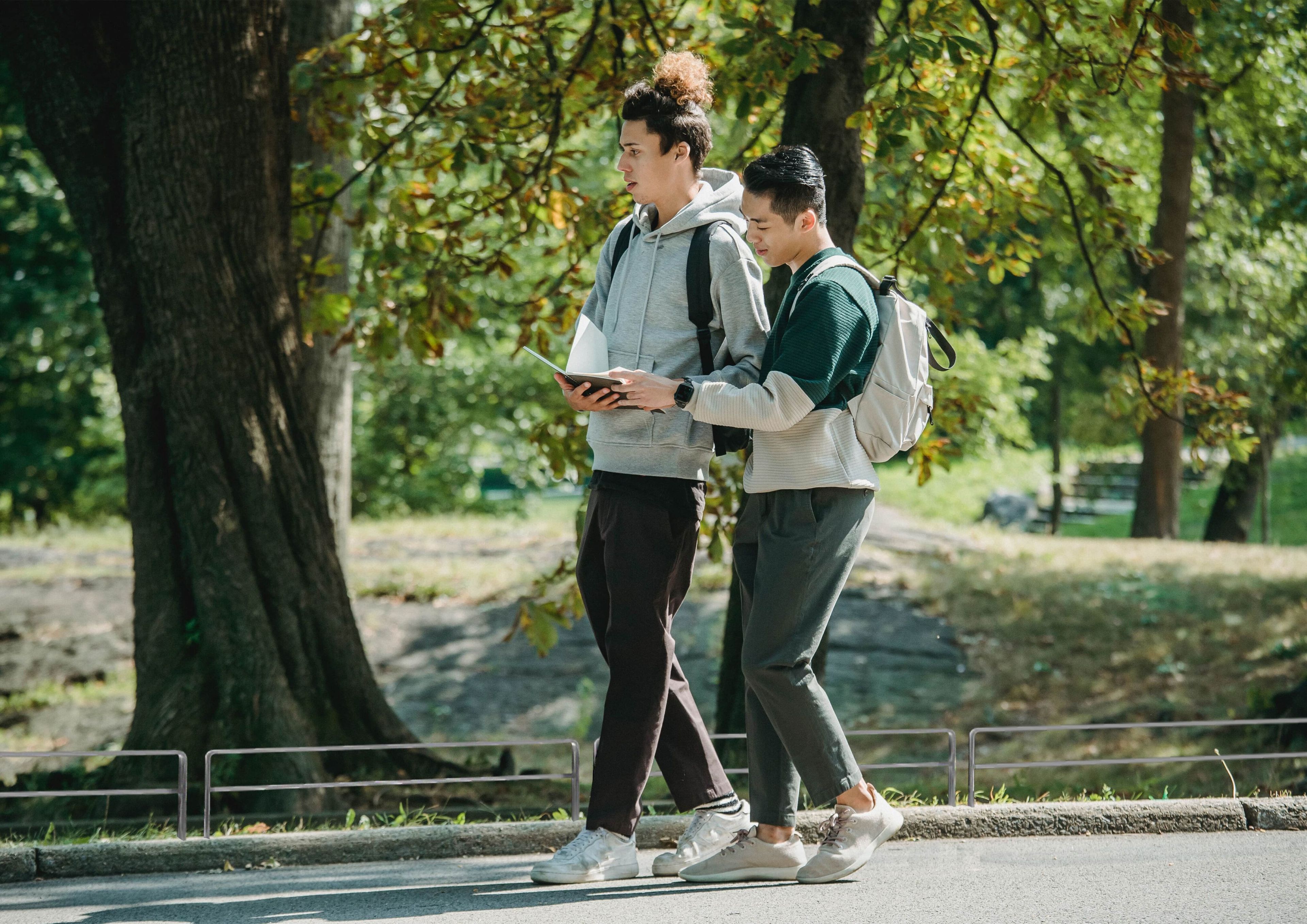 Окантовка клумбы с порошковым покрытием Urbencéa VALD ARCH-00142450 - Вид №1