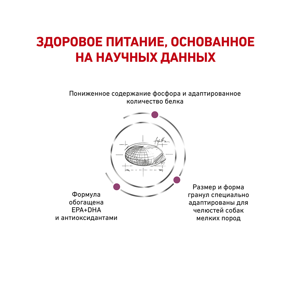 ПР0056149 Корм для собак Vet Diet Renal для мелких пород с хронической болезнью почек сух. 500г ROYAL CANIN  - Вид №2