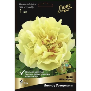 Пион ИТО-гибрид Йеллоу Уотерлили 86410481 STLM-2038784